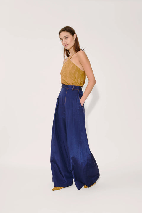 Wide Leg Pleat Pants