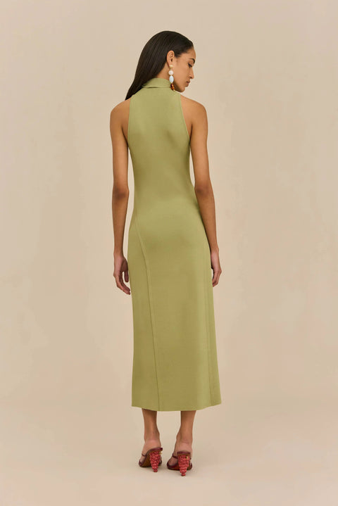 Woman wearing a green dress against a beige background from the back.