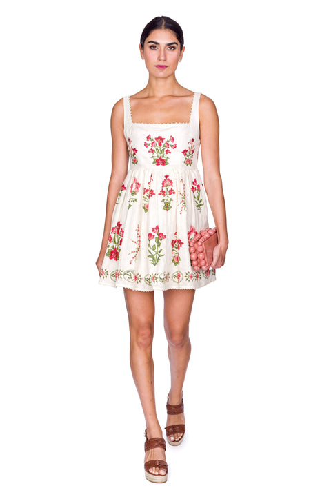 Barabra Wild Mini Dress