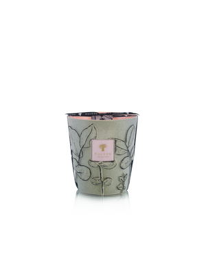 Folia Maquis Candle Max 16