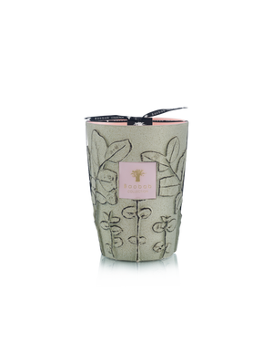 Folia Maquis Candle Max 24