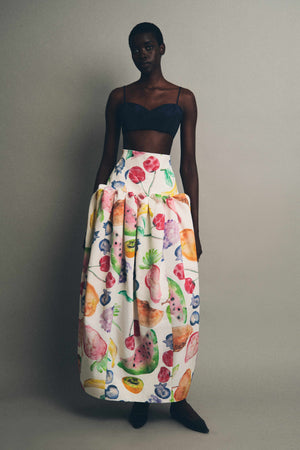 Fifi Ball Skirt