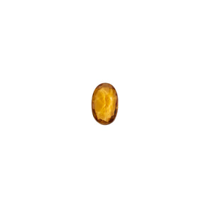 November Birthstone Charm