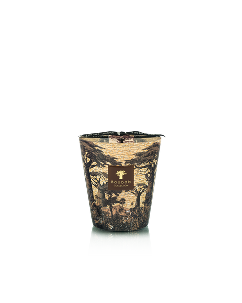 Candle Sacred Trees Mankono