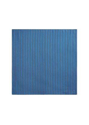 Blue striped silk scarf on a white background