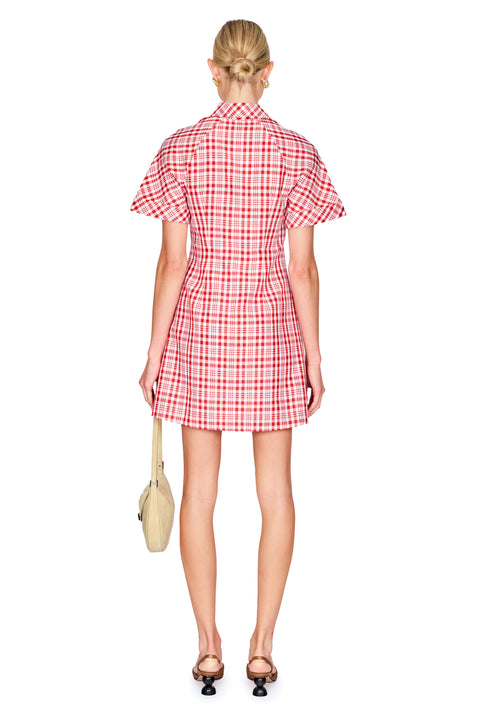 Woman wearing a red and white checkered dress on a white background