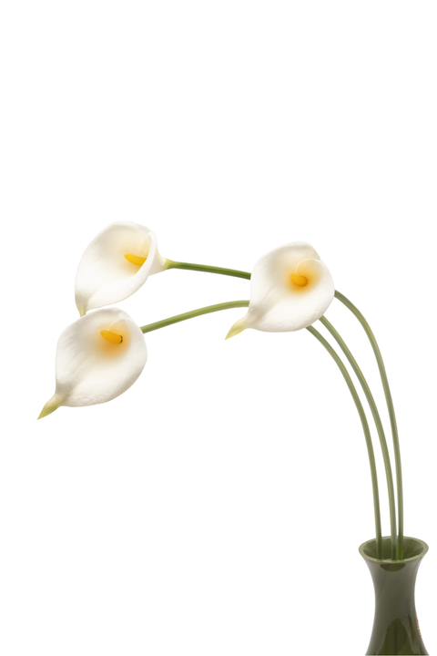 Calla XL Clutch