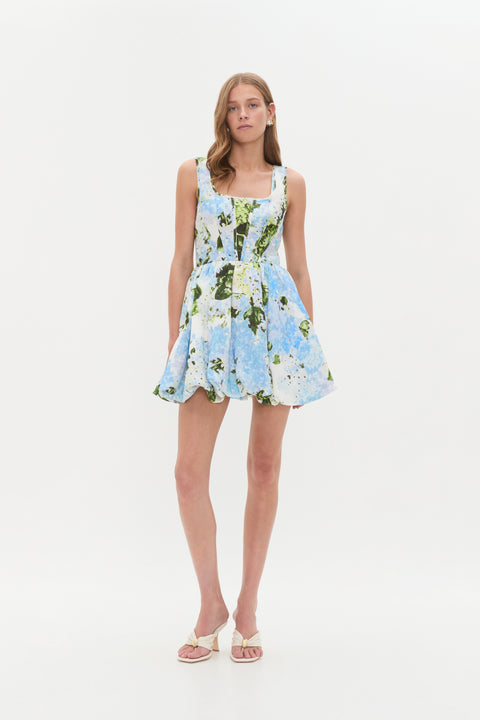 Suzette Mini Dress