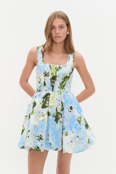Suzette Mini Dress