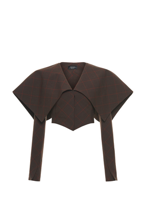 Cropped Jacket With Oversized Collar