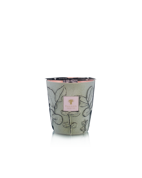 Folia Maquis Candle Max 16