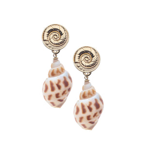 Inspiration Shell Drop Earrings