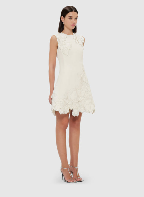 Chloe Applique Sleeveless Mini Dress