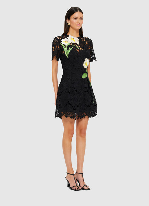 Margot Embroidered Lace Mini Dress