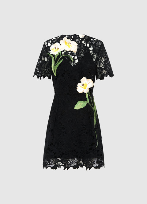 Margot Embroidered Lace Mini Dress