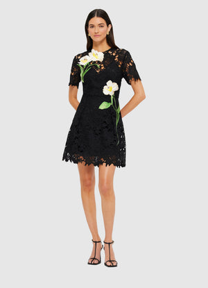 Margot Embroidered Lace Mini Dress