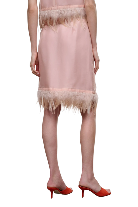 Lark Skirt