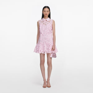 Lace Collared Mini Dress