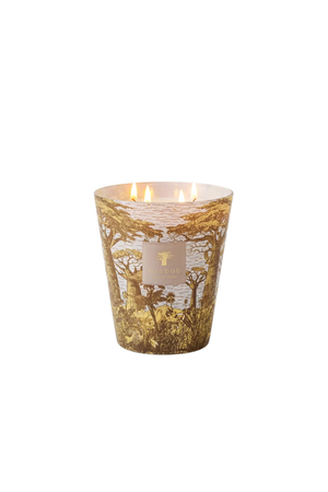 A lit four-wick candle in a tapered glass jar featuring a gold-toned safari scene with yellow trees, on a plain white background.