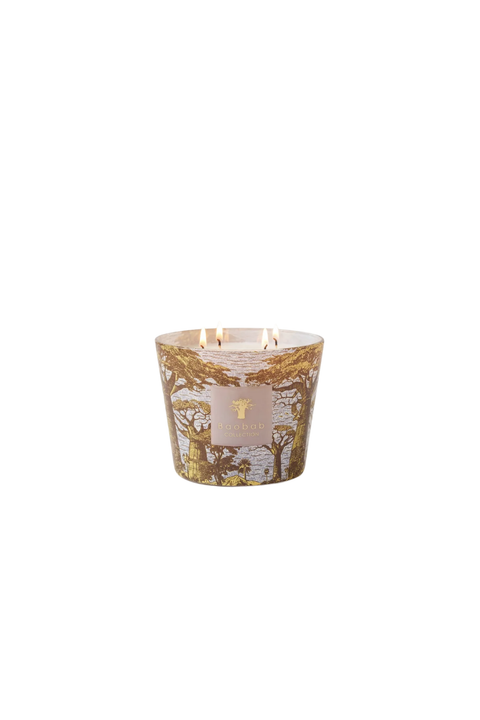 Four wick candle in vessel with yellow trees/ 