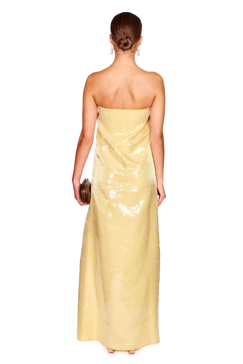 Strapless Organza Sequin Dress