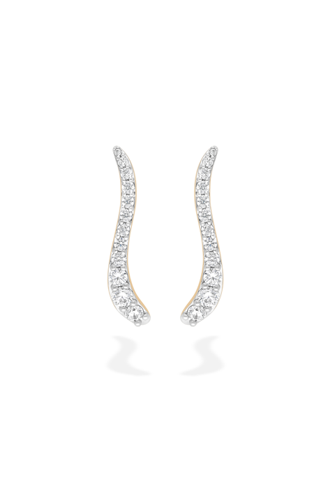 Pair Of Ray Earrings