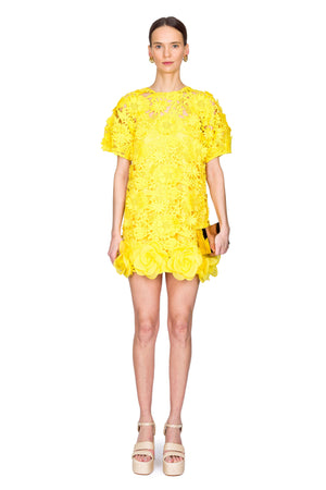 Maggie Lace Mini Dress