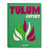 Front cover of the Tulum Gypset book