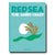 Front cover of the Red Sea book